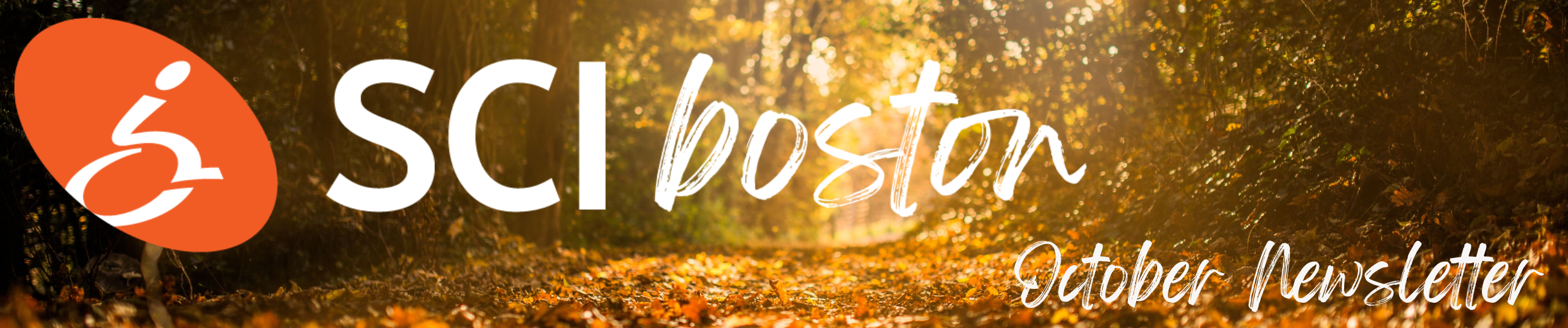 ID: a background of fall foliage with the SCIboston logo and though words October newsletter written in white.